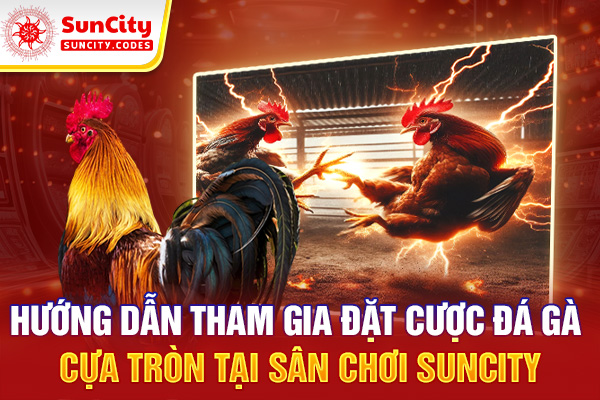 Hướng dẫn tham gia đặt cược đá gà cựa tròn tại SUNCITY
